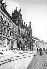 FLeyse1- 0002