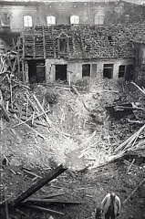 FLeyse1- 0005