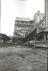 FLeyse 2-0005