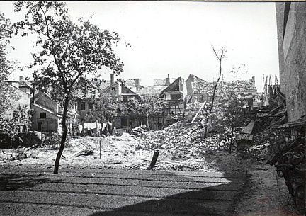 FLeyse 2-0006