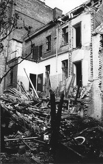 FLeyse5-0010