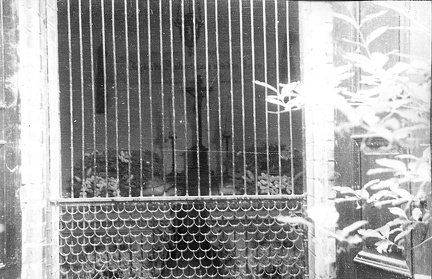 FLeyse5-0014