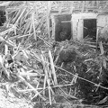 FLeyse8-0025