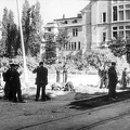 FLeyse8-0039