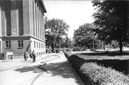FLeyse13-0002