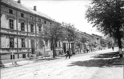 FLeyse13-0012