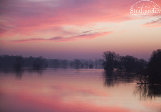 FDigital-2011-01-17-0004