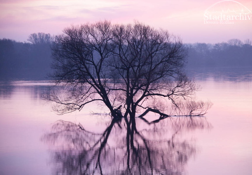 FDigital-2011-01-17-0002