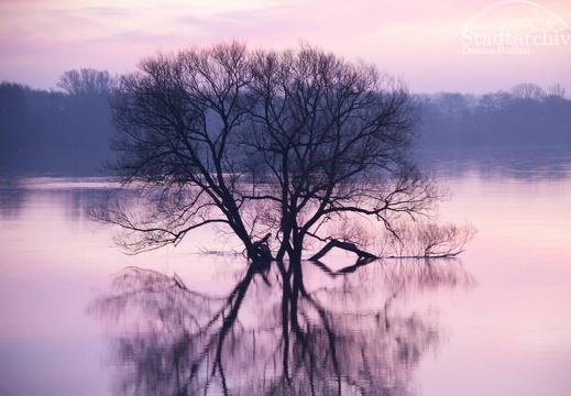 FDigital-2011-01-17-0003