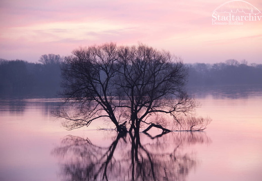 FDigital-2011-01-17-0001