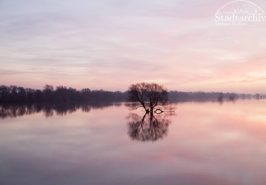 FDigital-2011-01-17-0008