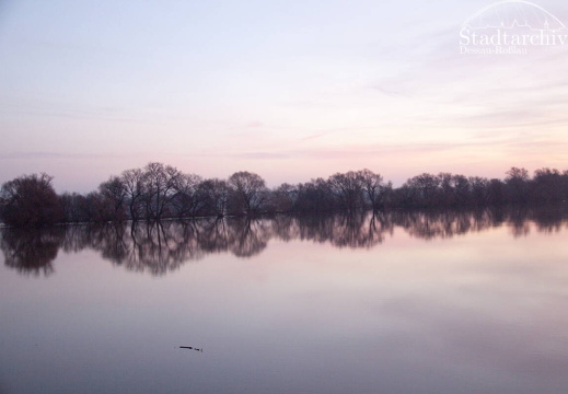 FDigital-2011-01-17-0006