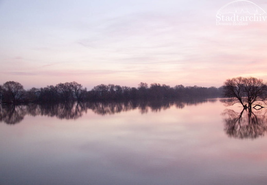 FDigital-2011-01-17-0007