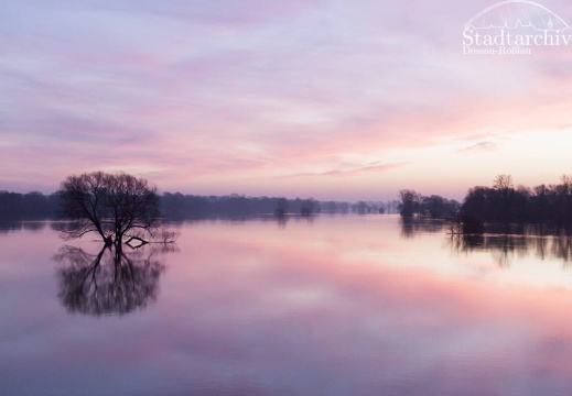 FDigital-2011-01-17-0009