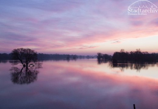 FDigital-2011-01-17-0005