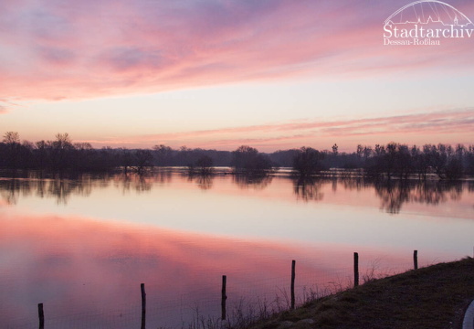 FDigital-2011-01-17-0012