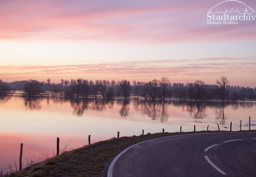 FDigital-2011-01-17-0014