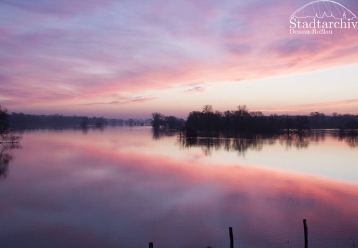 FDigital-2011-01-17-0010