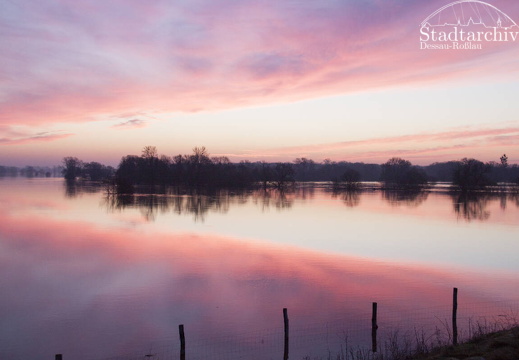 FDigital-2011-01-17-0011