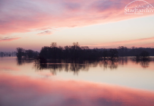 FDigital-2011-01-17-0015