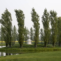 FDigital-2011-04-29-0013