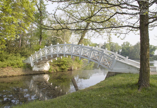 FDigital-2011-04-29-0068