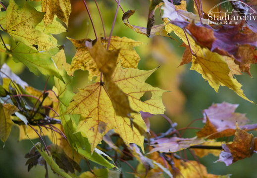 FDigital-2015-10-22-0002