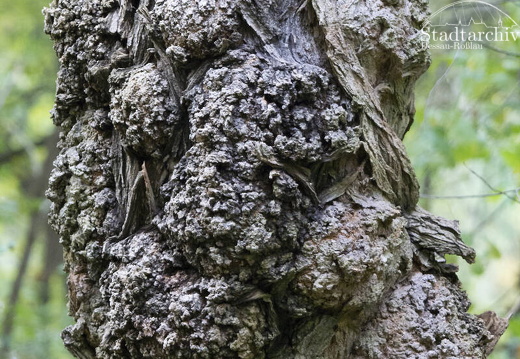 FDigital-2015-10-22-0001