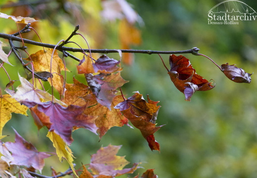 FDigital-2015-10-22-0003