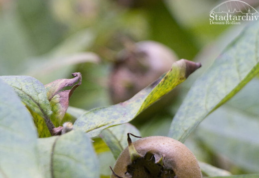 FDigital-2015-10-22-0008