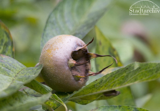 FDigital-2015-10-22-0009