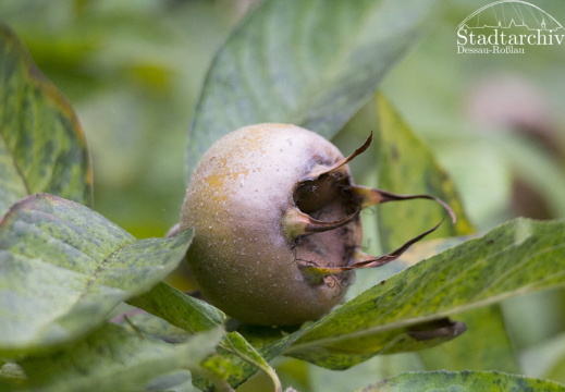 FDigital-2015-10-22-0010