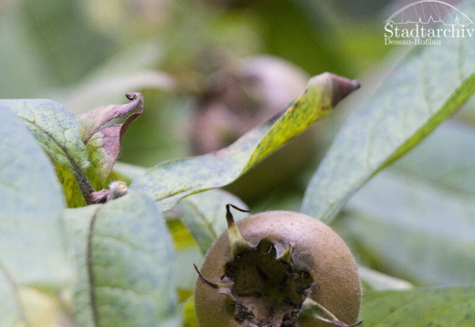 FDigital-2015-10-22-0007