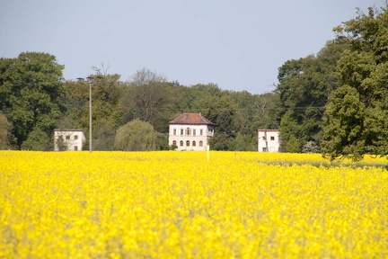 FDigital-2011-05-05-0003
