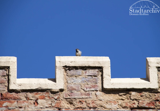 FDigital-2011-05-05-0035