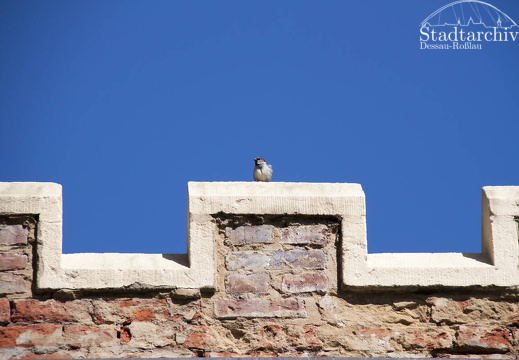 FDigital-2011-05-05-0036