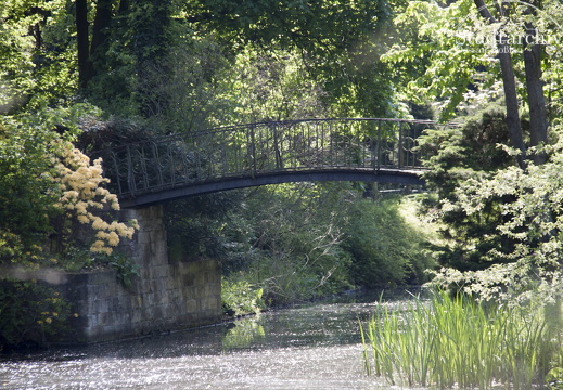 FDigital-2011-05-05-0065