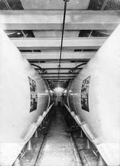 FAlb-3-0006