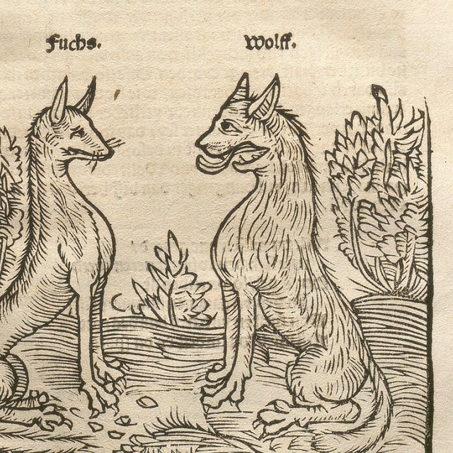 Einn Gesprech eynes Fuchs vnnd || Wolffs/ so die andernn Fuchs vnnd Wolff auff denn || Stayger waldt zusamen geschickt/ sich zu || vnder redenn/ wo vnnd wie die beyde || parthey den wintter sich haltẽ || vnnd neren wollen.||