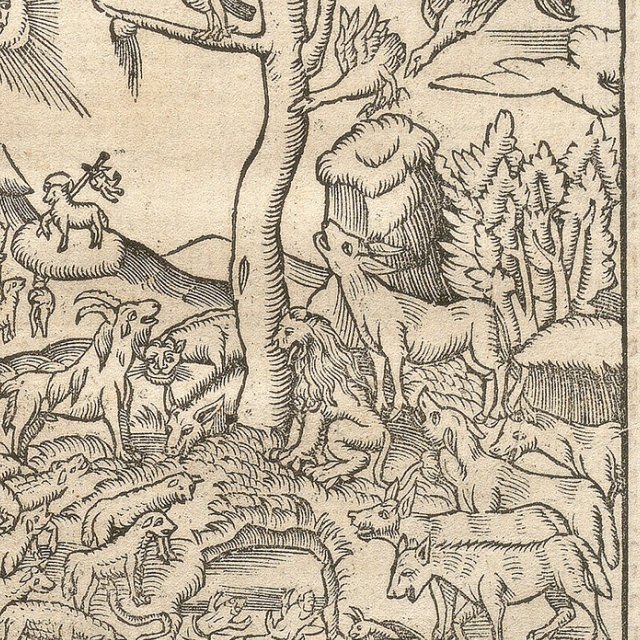 Die Wittenbergisch Nachtigall || Die mann yetzt höret vberal.|| ... ||