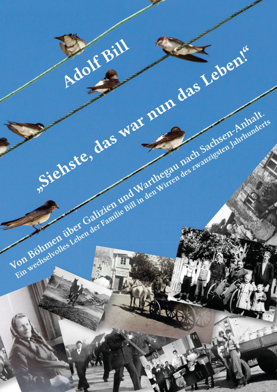 Einband der Publikation