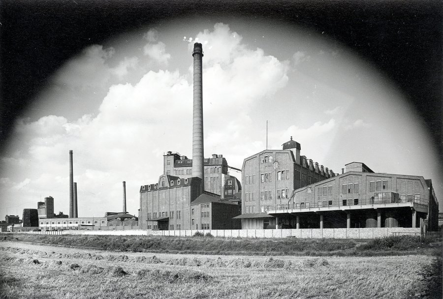 Die Dessauer Zuckerraffinerie GmbH (1952-1992 VEB Gärungschemie Dessau, im Volksmund „Fine“ genannt), Aufnahme um 1890